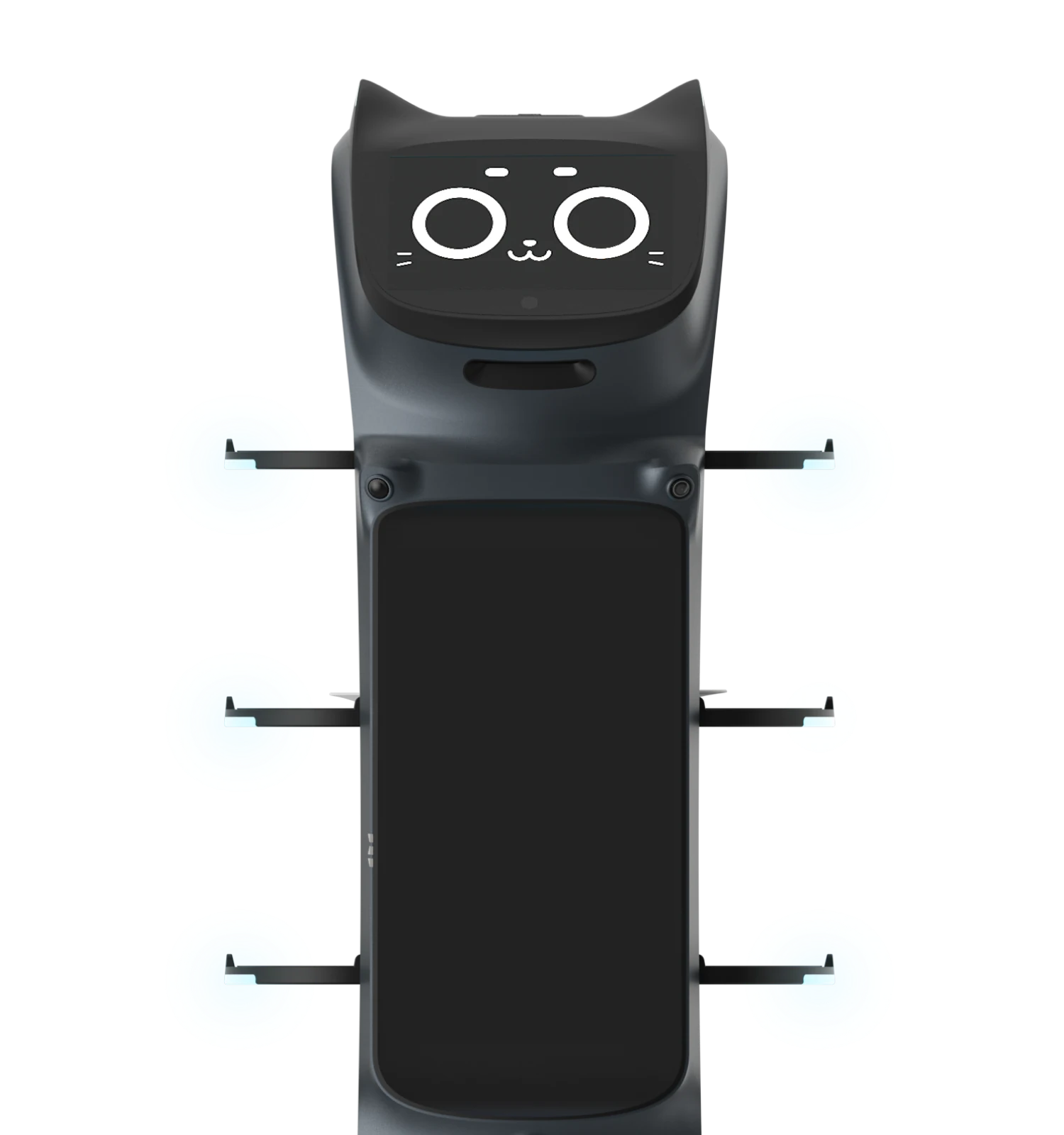 BellaBot Pro guidance mode image