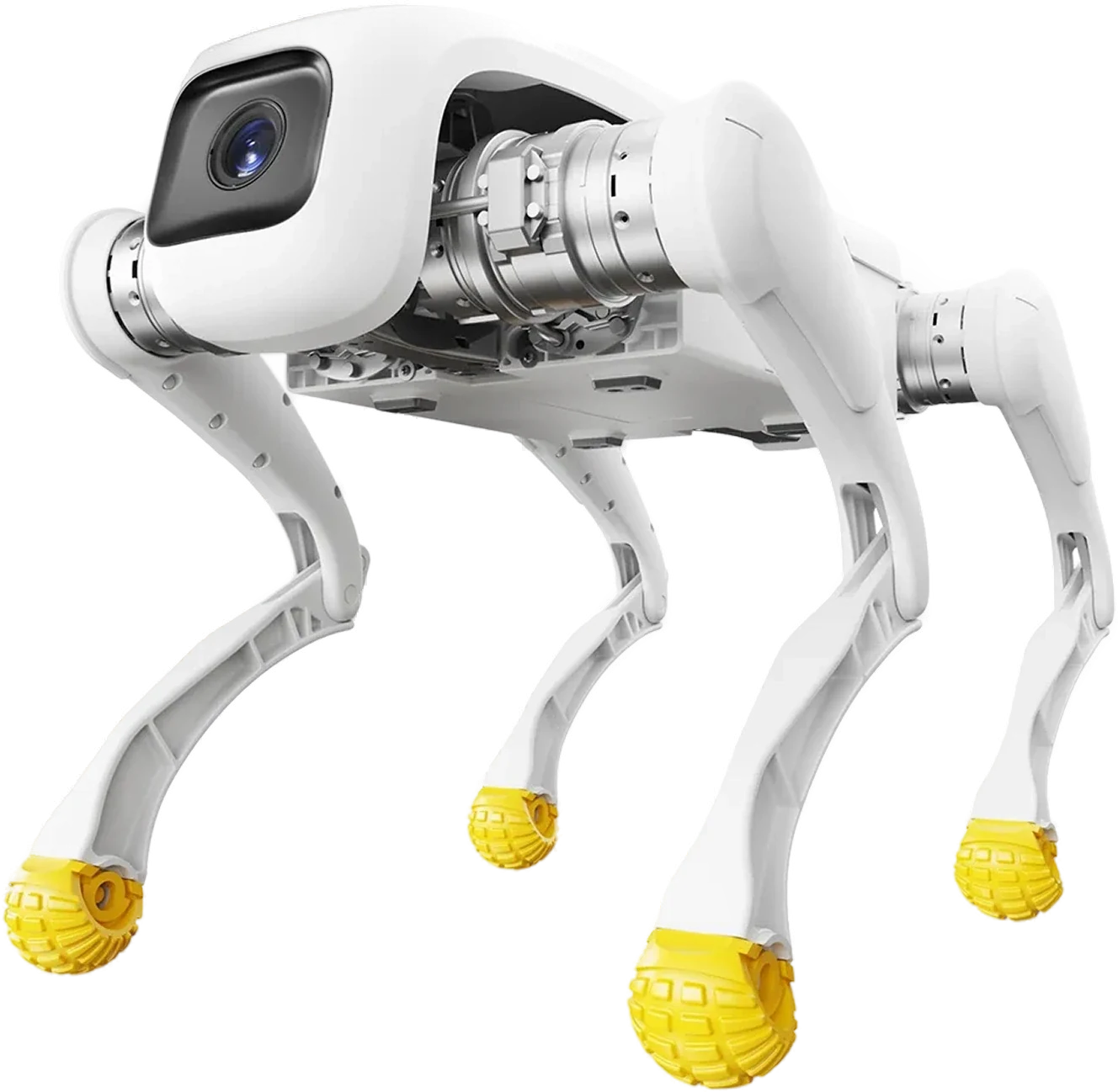 AgiBot D1