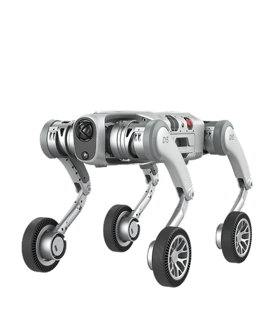 PUDU D5-W