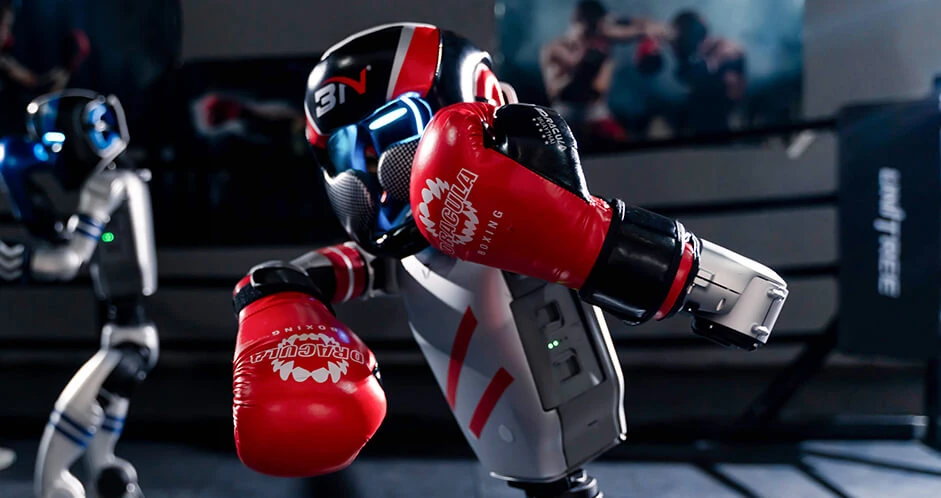 Сцена из галереи Unitree G1 Boxing 2